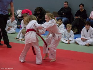 2013 03 05 - 009 Per Ottosson  